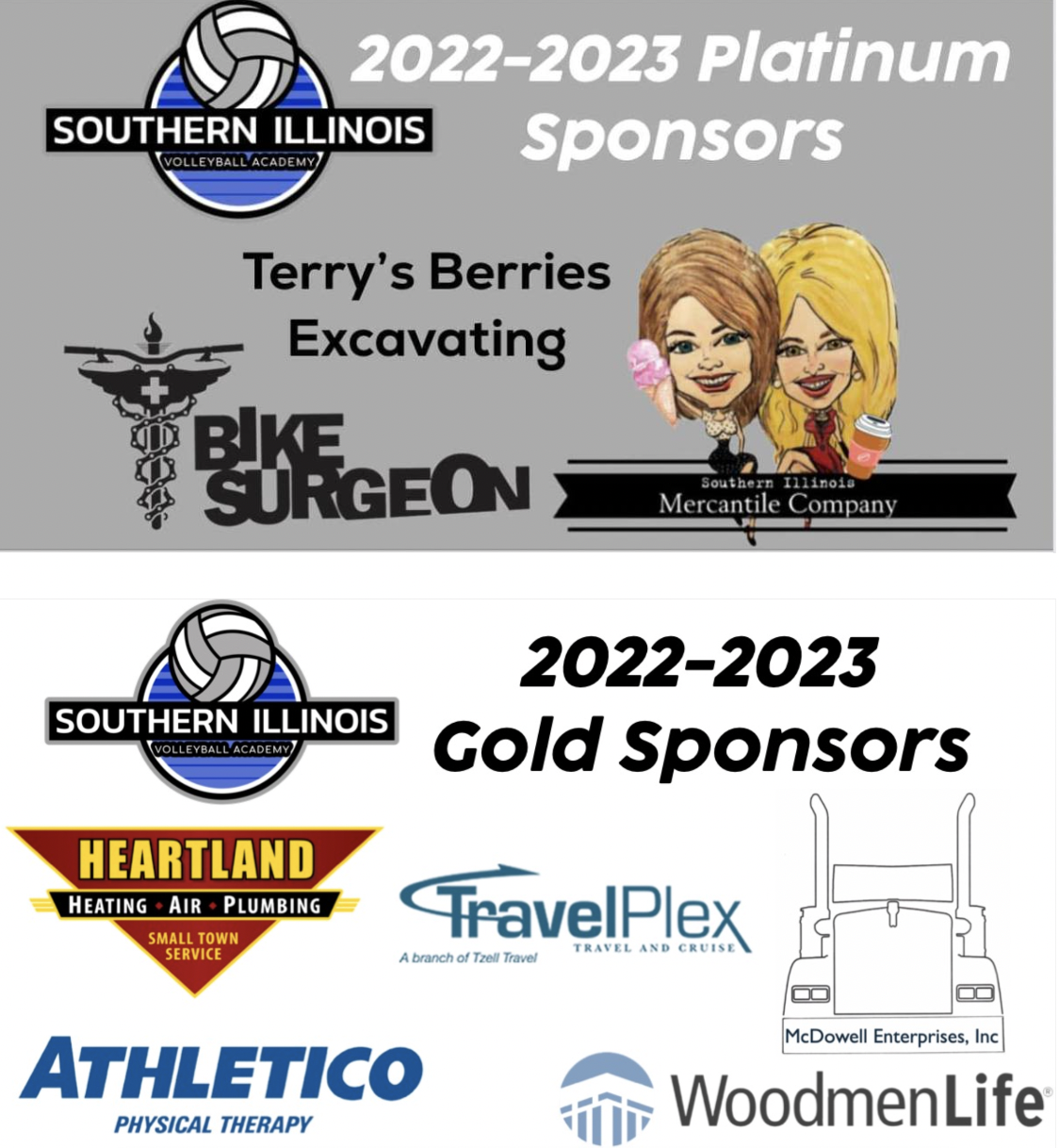 Platinum and gold sponsors